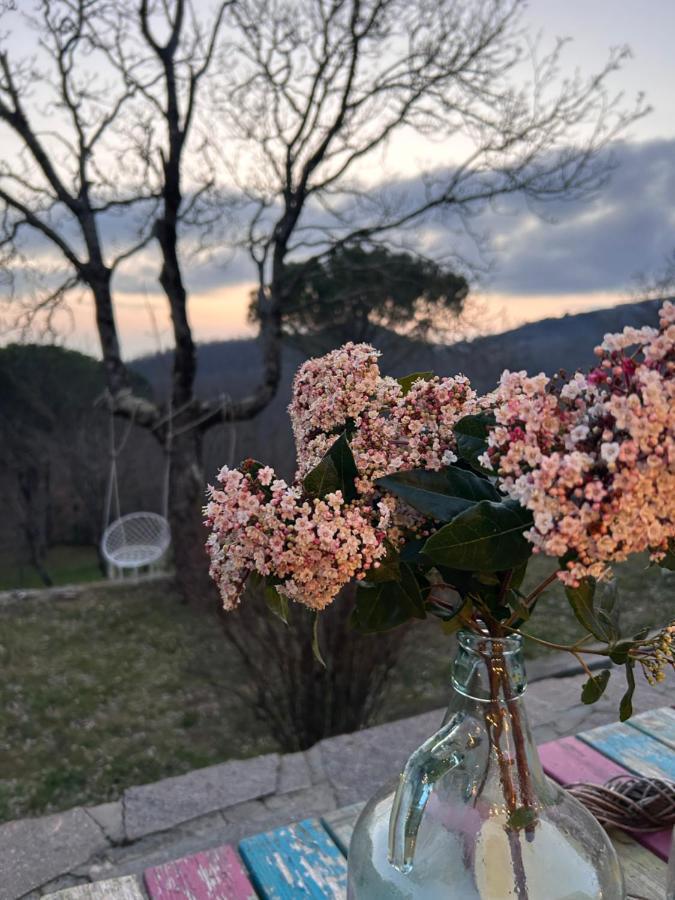 Podere Ceppeti 13 Gabellino Exteriör bild