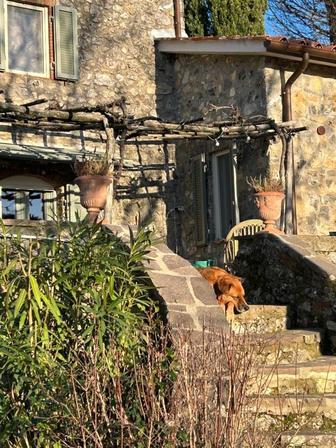 Podere Ceppeti 13 Gabellino Exteriör bild