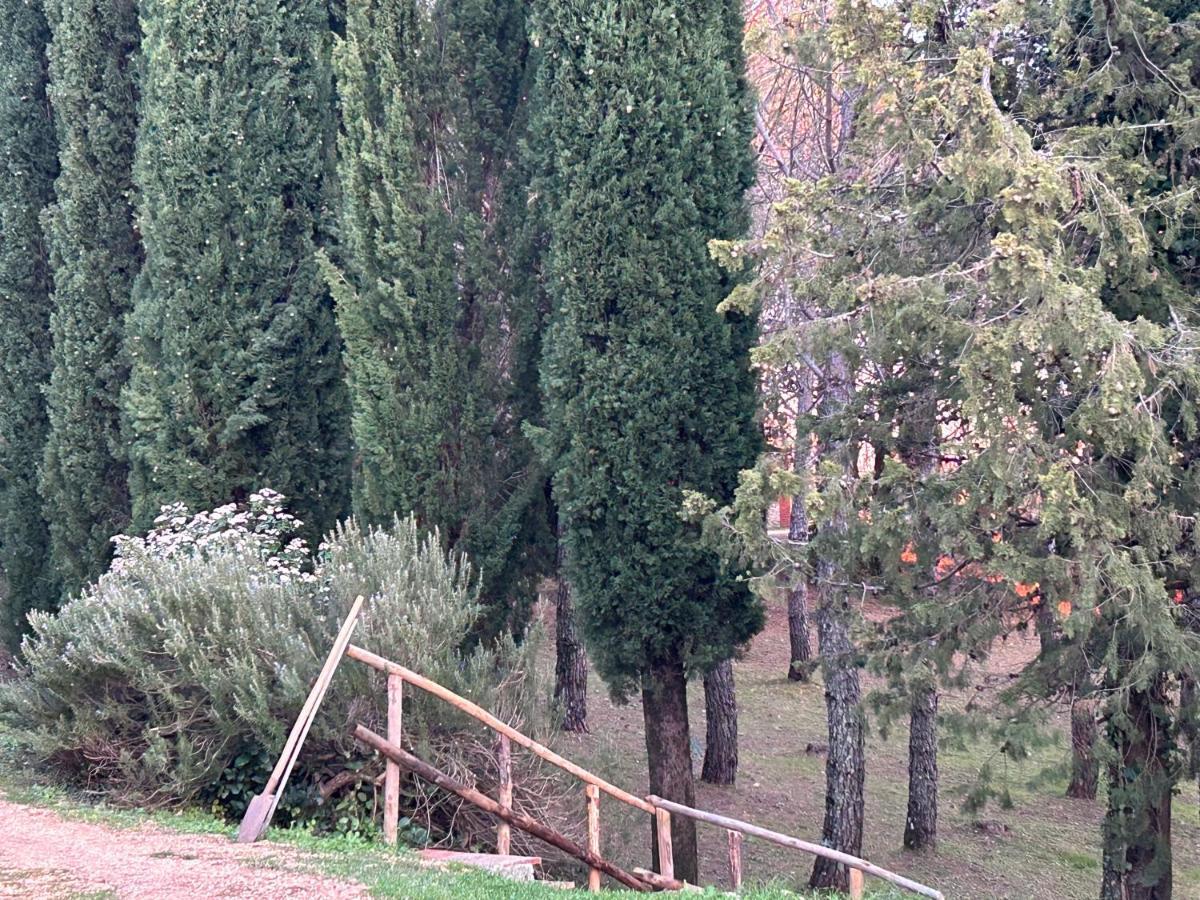 Podere Ceppeti 13 Gabellino Exteriör bild